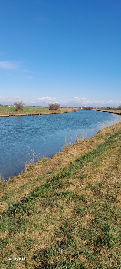 Foto 7 - Il percorso prosegue lungo l'argine costeggiando il fiume