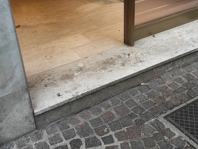 Ingresso, dettaglio del gradino