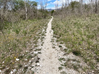 Photo 44 - Path with dirt surface 