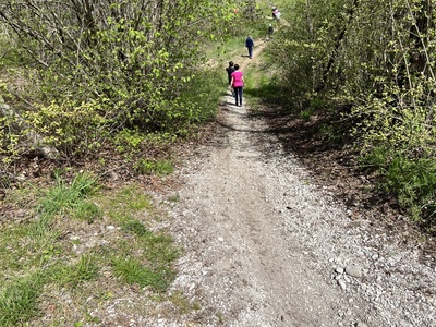 Photo 51 - Descent from the sloping bank about 20 degrees