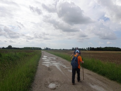 Photo 18 - Dirt path between the fields