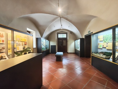 Sala 3 - Preistoria e storia antica