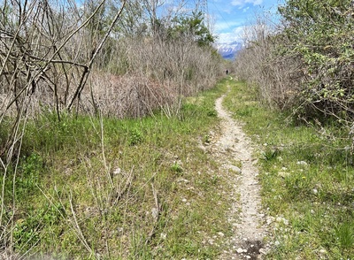 Photo 45 - Narrow path with medium-sized stones