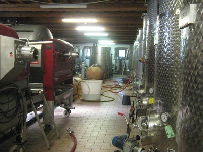 Interni della cantina, durante il periodo della vendemmia