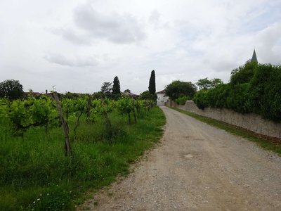 Photo 77 - Path on dirt road