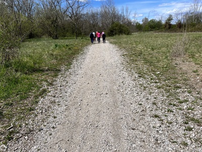 Photo 50 - Entrance to a wide unpaved road