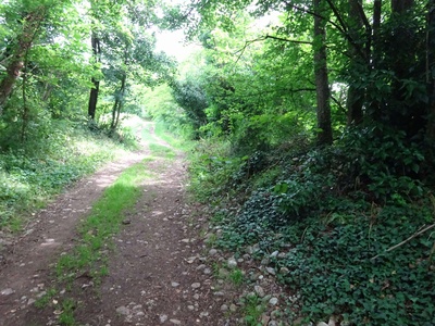 Photo 27 - Dirt path with large stones