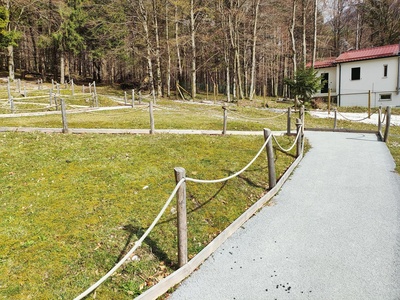 Sviluppo del percorso verso il bosco