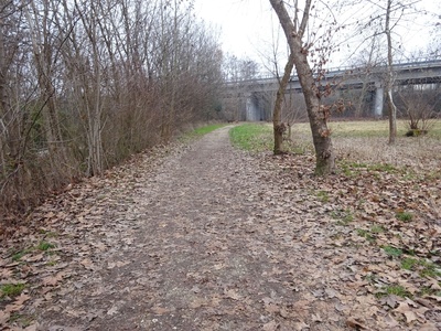 Photo 6 - Path that passes under the A23 motorway structure