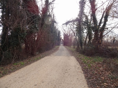 Photo 7 - Compacted gravel path