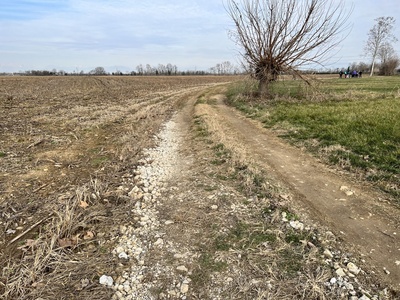 Photo 12 - Muddy dirt path with bumps