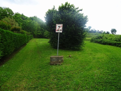 Photo 61 - Path on grassy ground