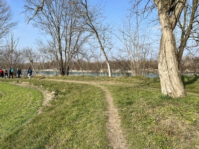 Photo 12 - Path on grassy trail