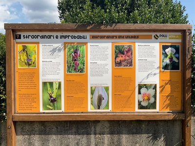 Pannelli illustrativi