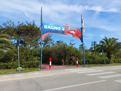 Ingresso