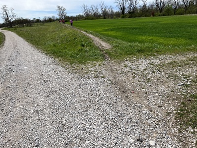 Photo 15 - Continuation of the path above a small embankment