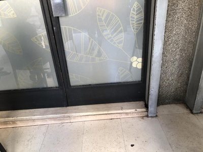 Ingresso