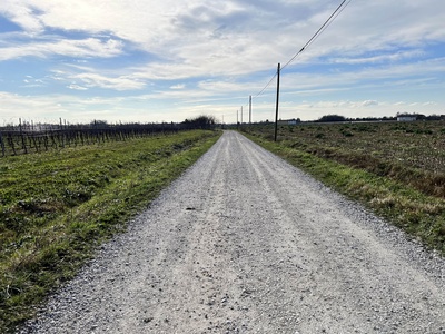 Photo 12 - Path on dirt road towards San Nicolò