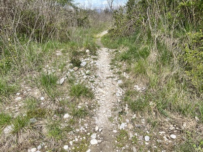 Photo 37 - Gravel path with embankments about 1 meter high