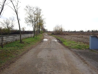 Photo 9 - Path on dirt ground among fields and vineyards