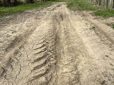 Photo 42 - Dirt path with depressions, possible puddles and muddy areas