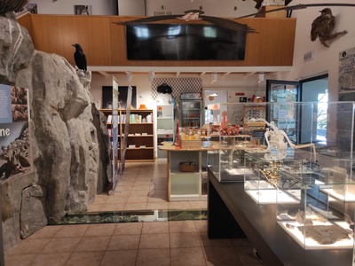 Piano terra, vista della sala