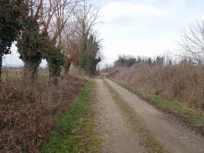 Foto 4 - Percorso su strada sterrata