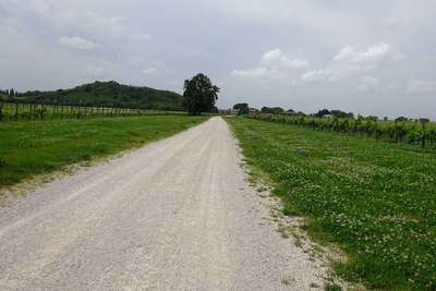 Foto 48 - Continuazione percorso su strada in ghiaia