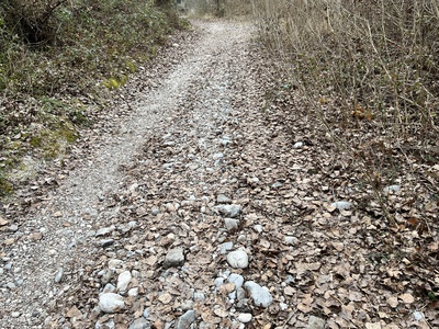 Photo 36 - Dirt path with stones