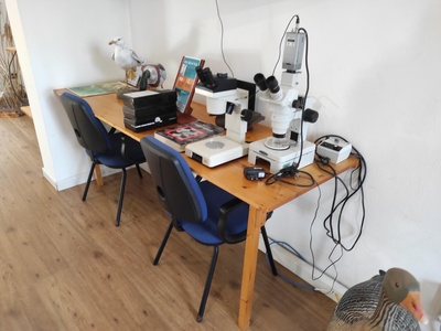 Sala espositiva, area didattica