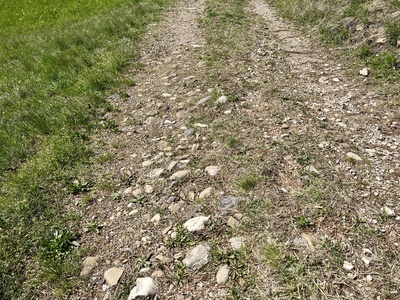 Foto 33 - Percorso in discesa, leggermente dissestato con presenza di grosse pietre