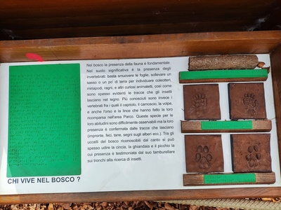 Dettaglio bacheca con braille e materiali per esplorazione tattile