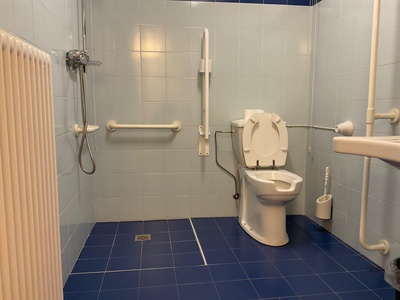 Tazza wc e doccia