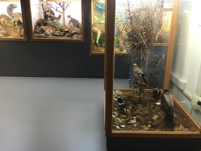 Sala 18