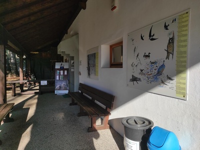 Area esterna, vista verso l'ingresso