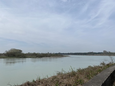 Foto 25 - Visuale su anse del Tagliamento