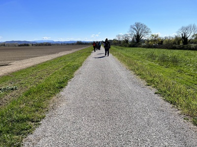 Photo 79 - Paved road path