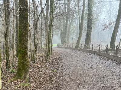 Photo 20 - Section of the path characterized by tall poplars