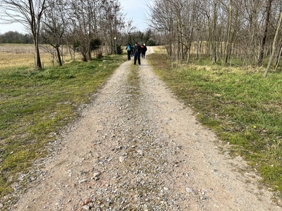 Photo 3 - Path on dirt road