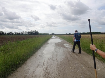 Photo 17 - Dirt path between the fields