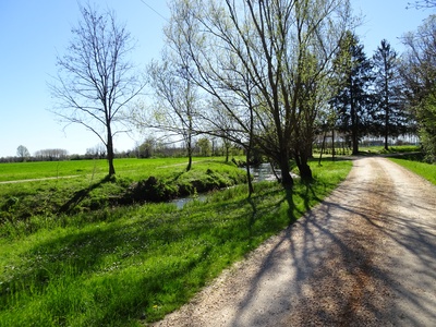 Photo 9 - Path in a rural context, with trees on the sides 