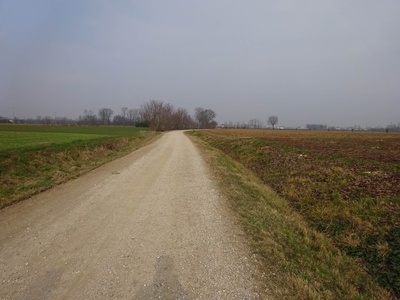 Photo 30 - Path on dirt road