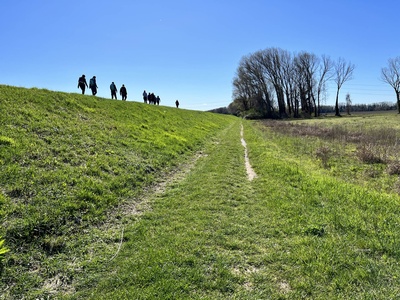 Photo 60 - Path on grassy dirt road