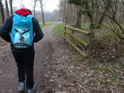 Photo 8 - Passage over a watercourse with wooden railings 