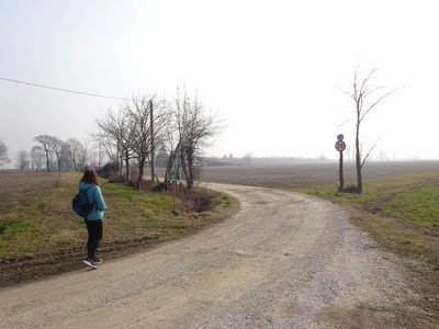 Photo 13 - Path on dirt road