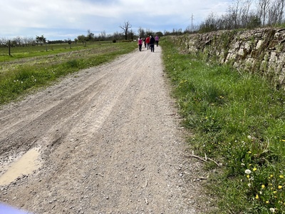 Photo 9 - Dirt path with possible dips and puddles