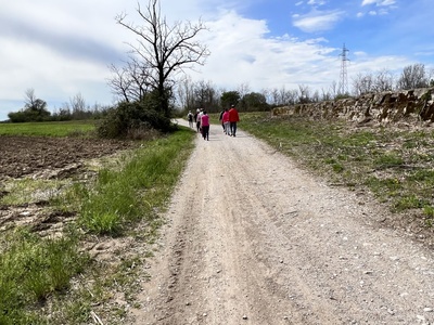 Photo 11 - Dirt path with fine gravel