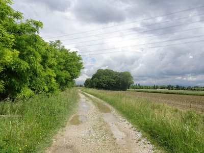 Photo 30 - Dirt road