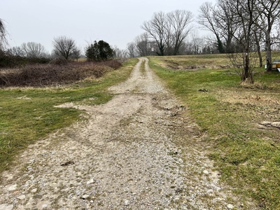 Photo 54 - Path on dirt road