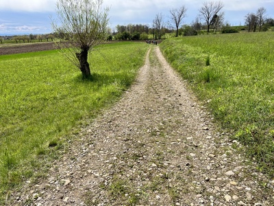 Foto 34 - Percorso sterrato caratterizzato da lievi sali-scendi